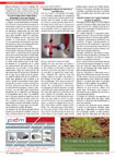 P&aacute;gina 18